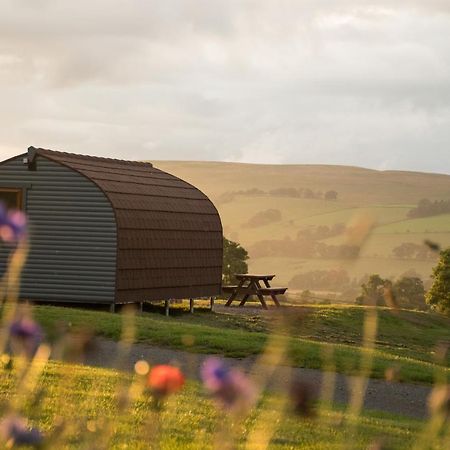 Wild Northumberland Glamping Villa Hexham Eksteriør bilde