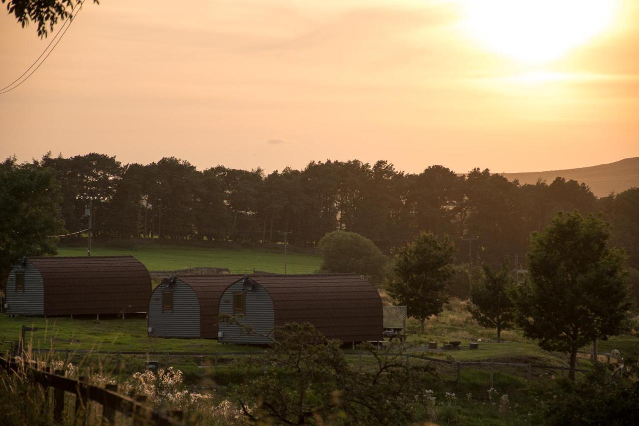 Wild Northumberland Glamping Villa Hexham Eksteriør bilde
