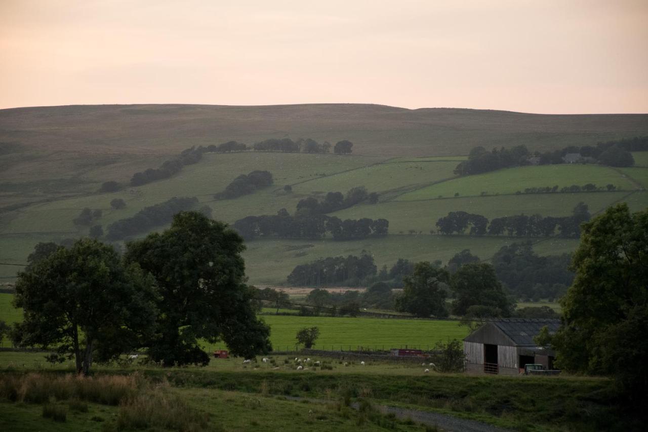 Wild Northumberland Glamping Villa Hexham Eksteriør bilde